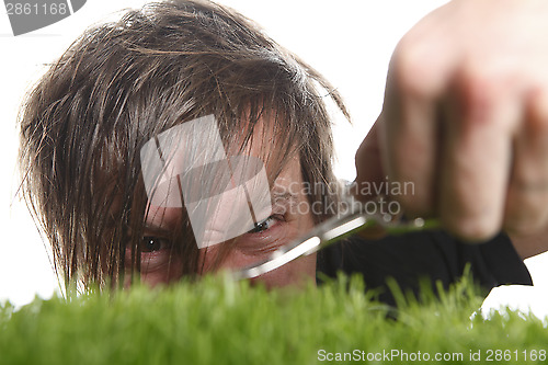 Image of Young man cuts English lawn 