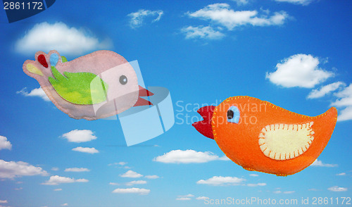 Image of Birds
