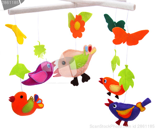 Image of Birds