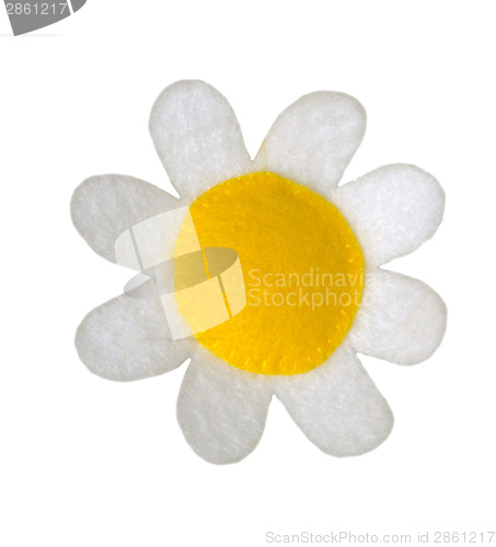 Image of Daisy