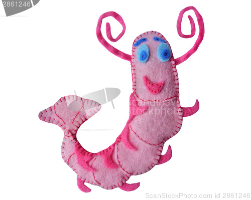 Image of Shrimp