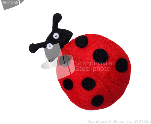 Image of Ladybug