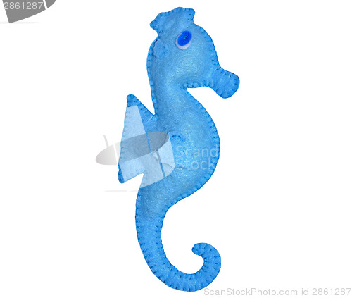 Image of Sea horse
