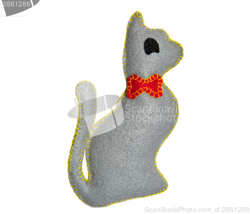 Image of Cat