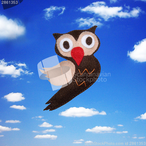 Image of Owl