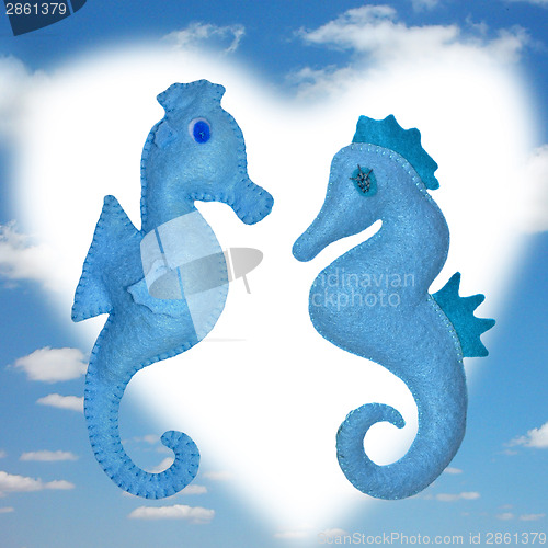 Image of Seahorses