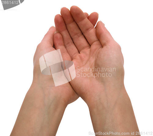 Image of Hands
