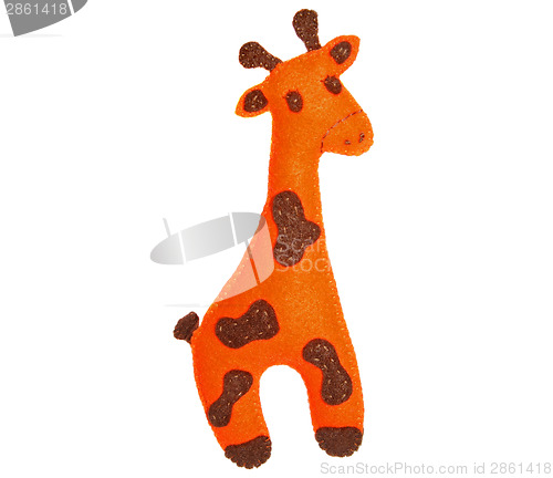 Image of Giraffe