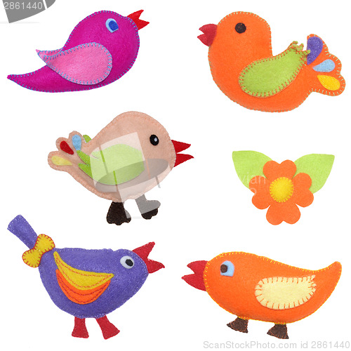 Image of Birds