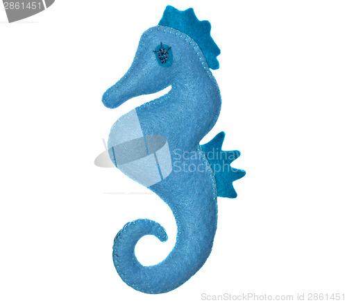 Image of Sea horse