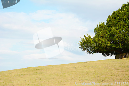 Image of Tree frames the sky on an empty hill