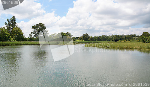 Image of Bartley Water in the New Forest