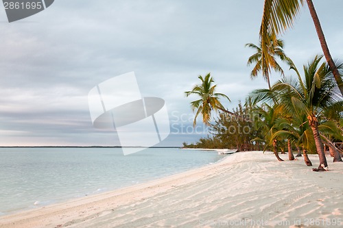 Image of tropical beach with palm trees