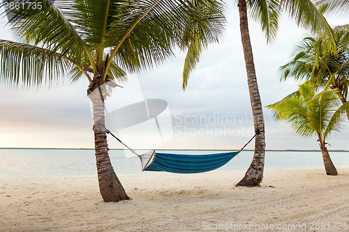 Image of hammock on tropical beach