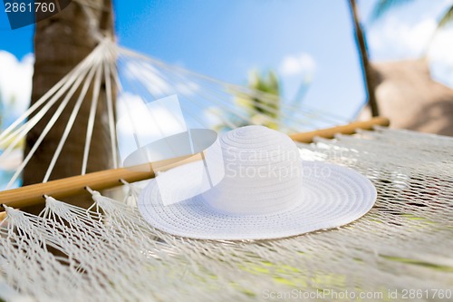 Image of picture of hammock with white hat