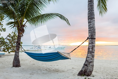 Image of hammock on tropical beach