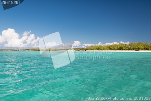 Image of blue sea or ocean, beach and forest