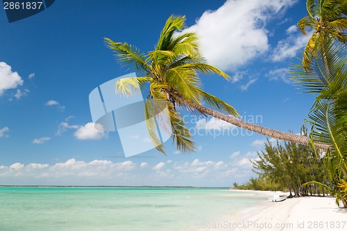 Image of tropical beach with palm trees