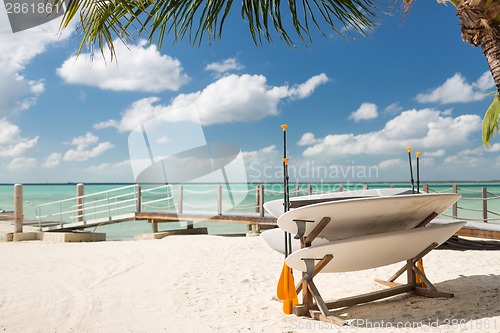 Image of surfboards on tropical beach