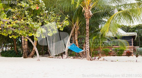 Image of hammock on tropical beach