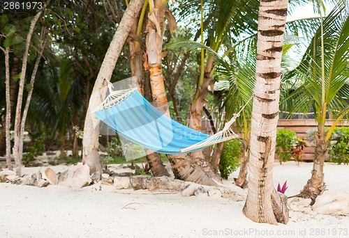 Image of hammock on tropical beach