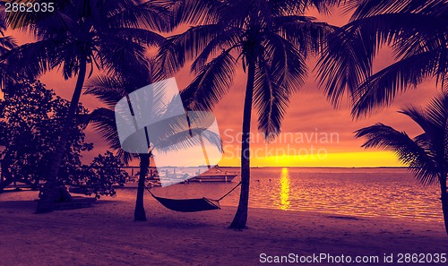 Image of palm trees and hammock on tropical beach