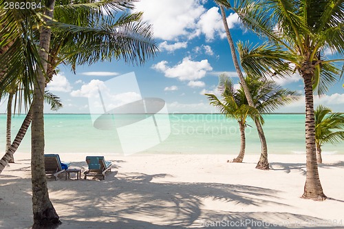 Image of tropical beach with palm trees