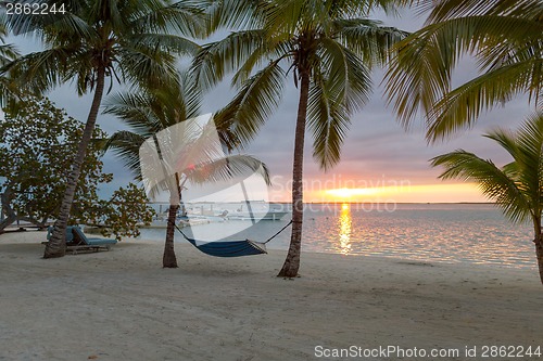 Image of hammock on tropical beach