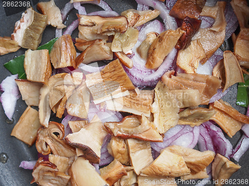 Image of Porcini Mushroom