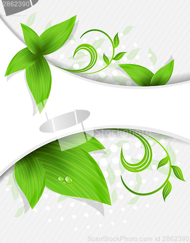 Image of Abstract background with leaves