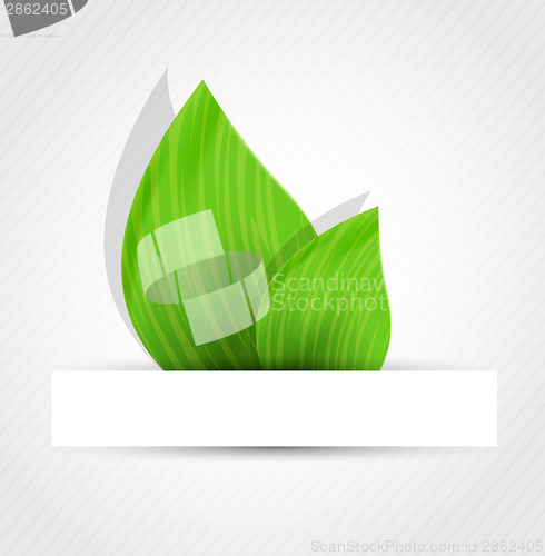 Image of Background with two leaves