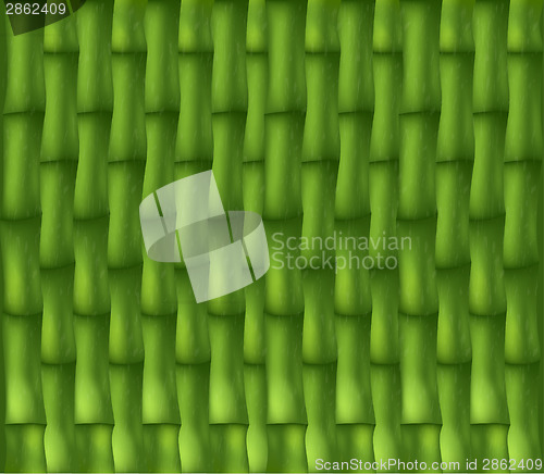 Image of Bamboo texture