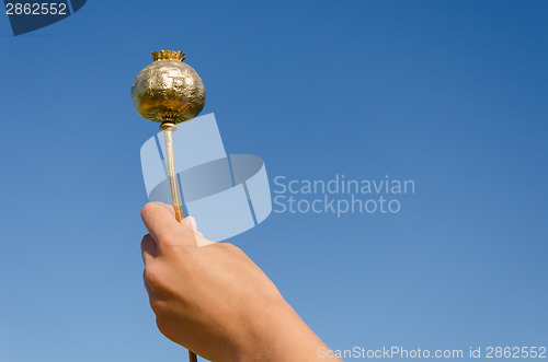 Image of female hand hold gold poppy on blue sky background 