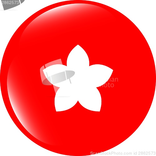 Image of flower on web icon, web button isolated on white background