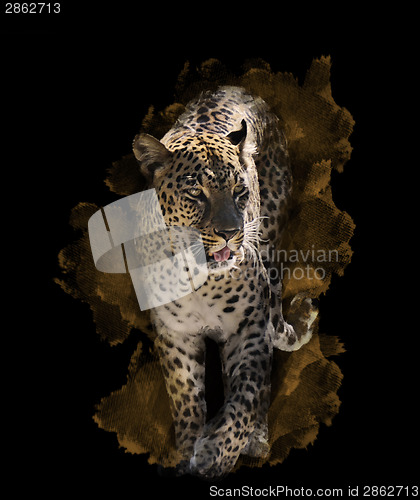 Image of Watercolor Image Of  Leopard 