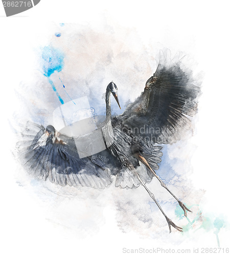 Image of Watercolor Image Of  Great Blue Heron 