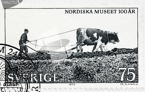 Image of Plowing with Oxen