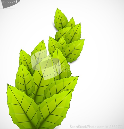 Image of Background with leaves