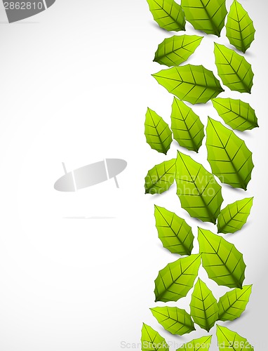 Image of Background with leaves