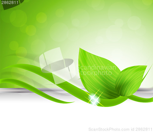 Image of Background with leaves