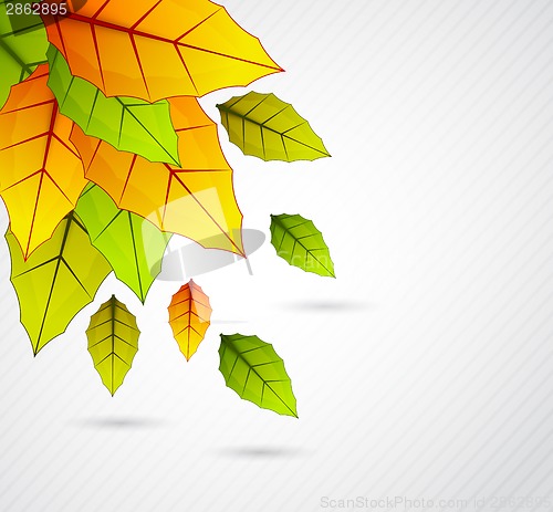 Image of Background with colorful leaves