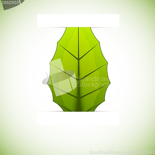 Image of Background with leaf