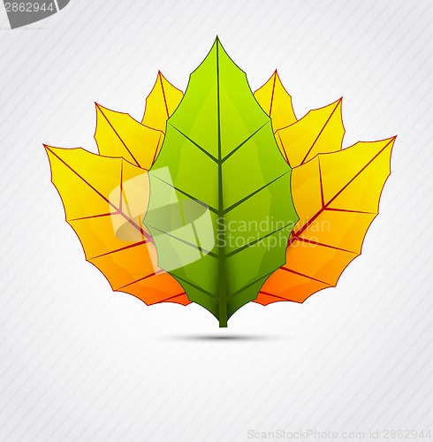 Image of Background with leaves