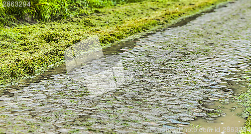 Image of Cobbled Road in a Rainy Day