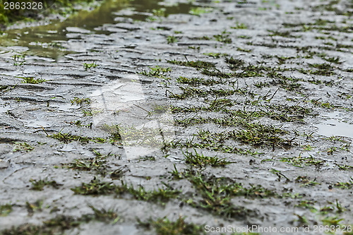 Image of Detail of Cobbled Road in a Rainy Day