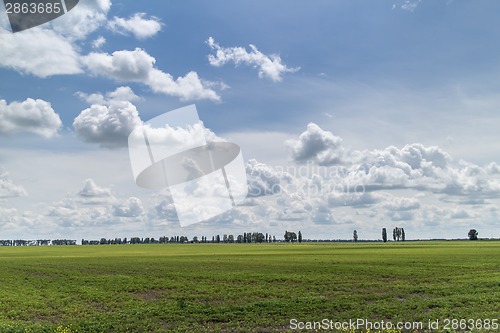 Image of Summer landscape