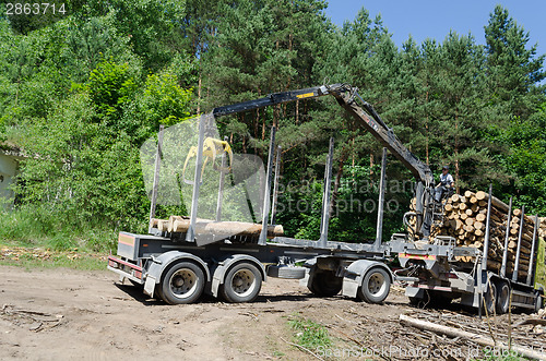 Image of Man load felled tree logs with crane to trailer 