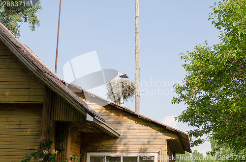 Image of nest with stork over homestead roof in summer 