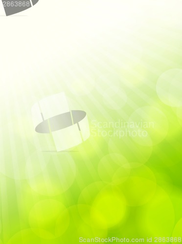 Image of Spring background