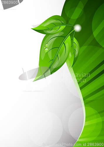 Image of Background with leaves